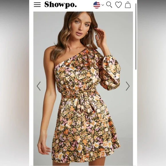 showpo brown mini dress Dalma Brown Mini Dress - US 2